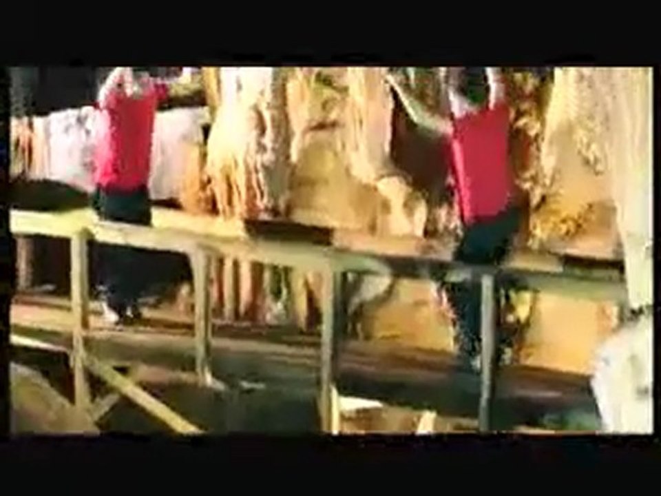 Sinan Yilmaz - KOLBASTI (klip) -