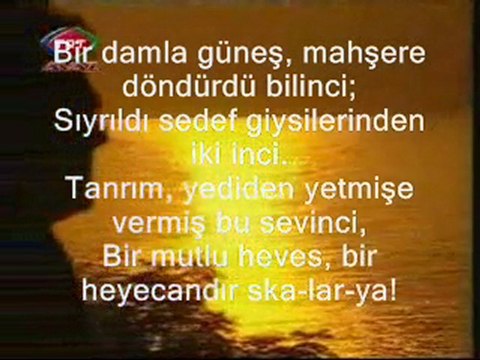 Erhan GÜLERYÜZ- Ska-lar-ya Şiiri