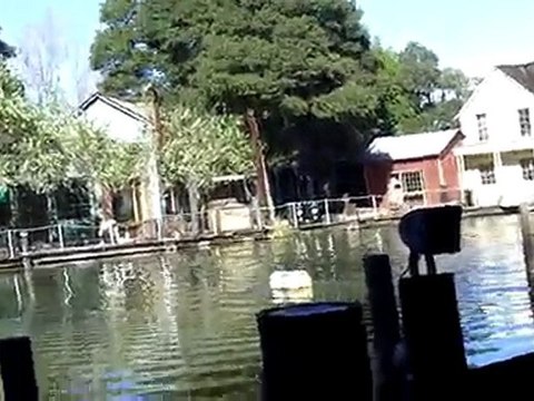 JAWS (les dents de la mer) - Universal Studios