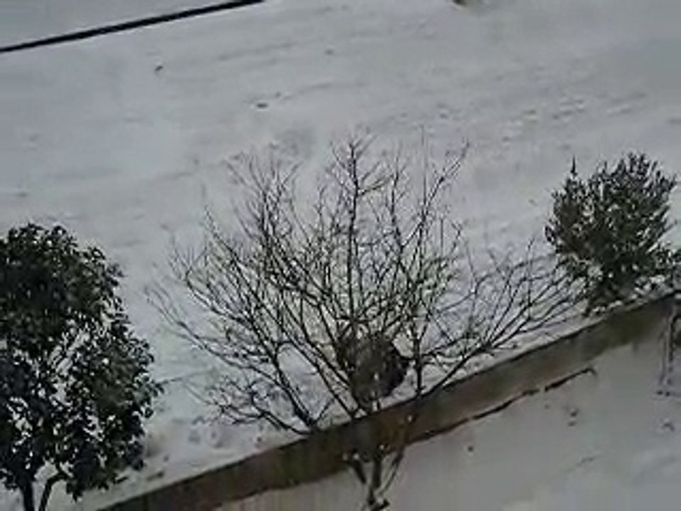 Bandırma  - Kar a