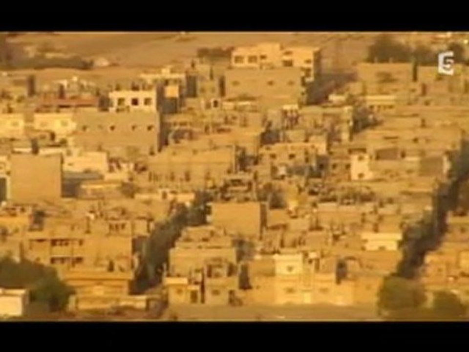 - ANTIQUITE PALMYRE 1 2 -