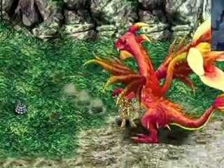 Secret of the Solstice | Kingdom Divided