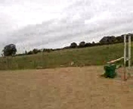 bob cheval de trait a l obstacle