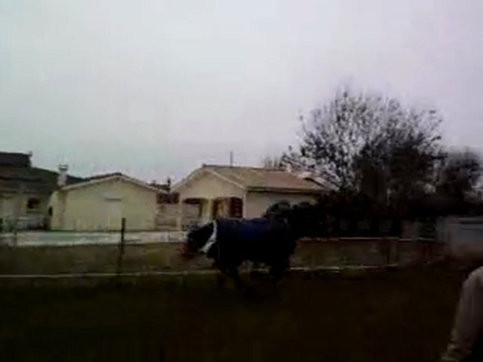 Vidéo0005