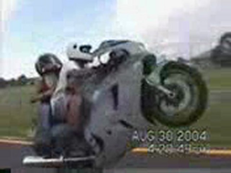 willing moto