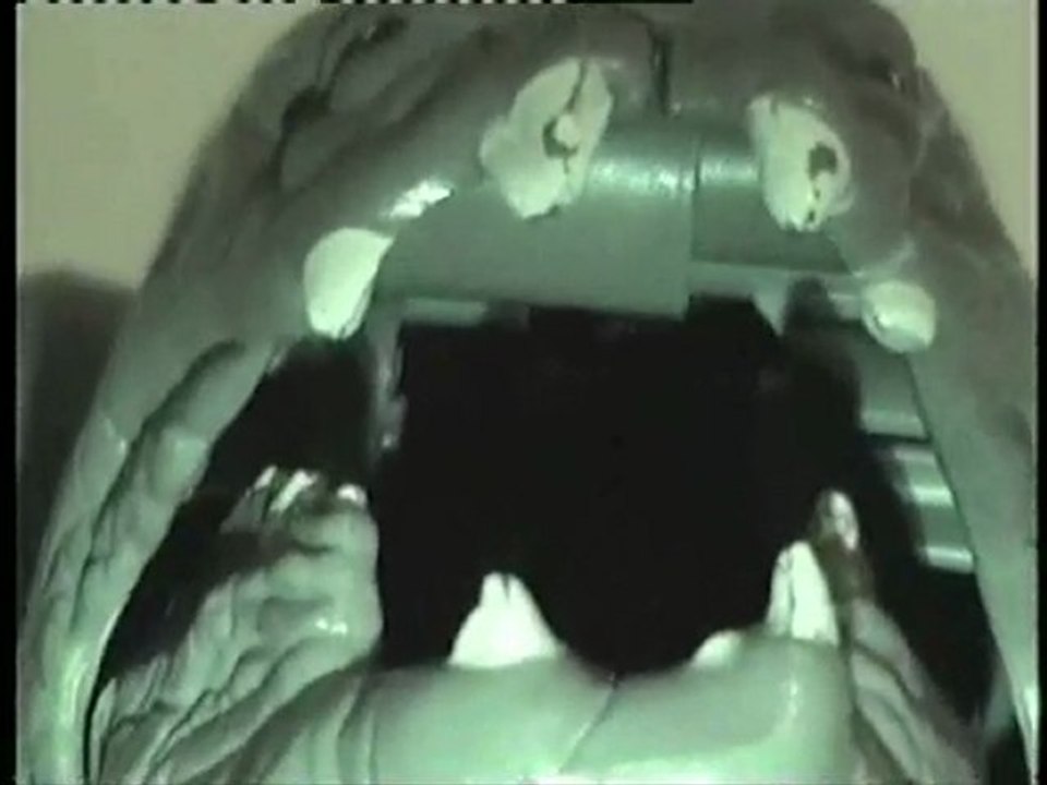 Rancor Monster One Man Sail Skiff  Fantastic Folge 6