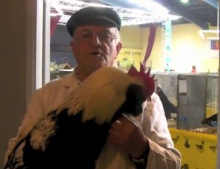 Bergerac : Exposition avicole