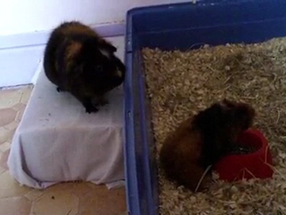 Anatole et Eden2
