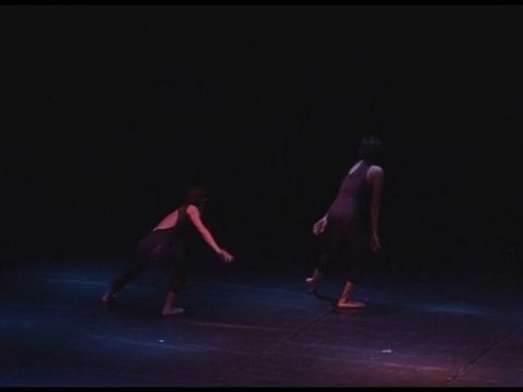 IBIS - Espectacle de Dansa