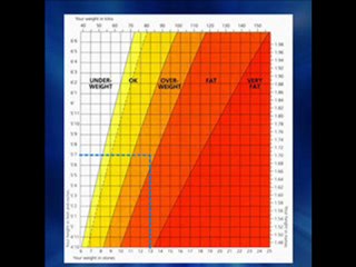 How To Calculate Your Correct  Weight for Height