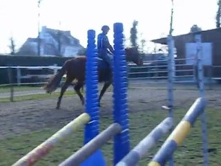 Triskel du Breuil débourage vidéo 2