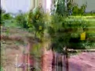 İyi Tarım Uygulamaları Filmi