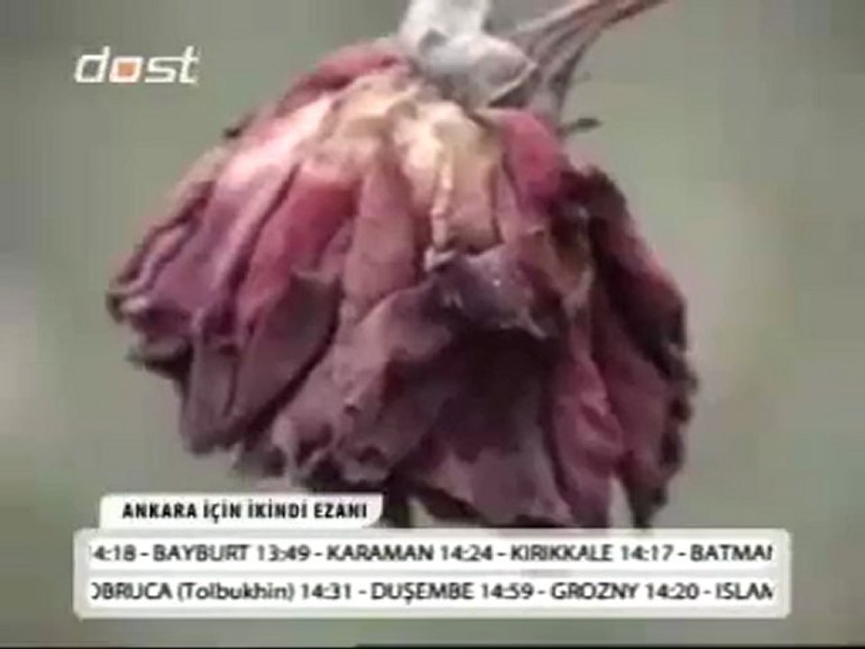 Ikindi Namazi Vakti