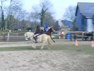 Triskel du Breuil 2010