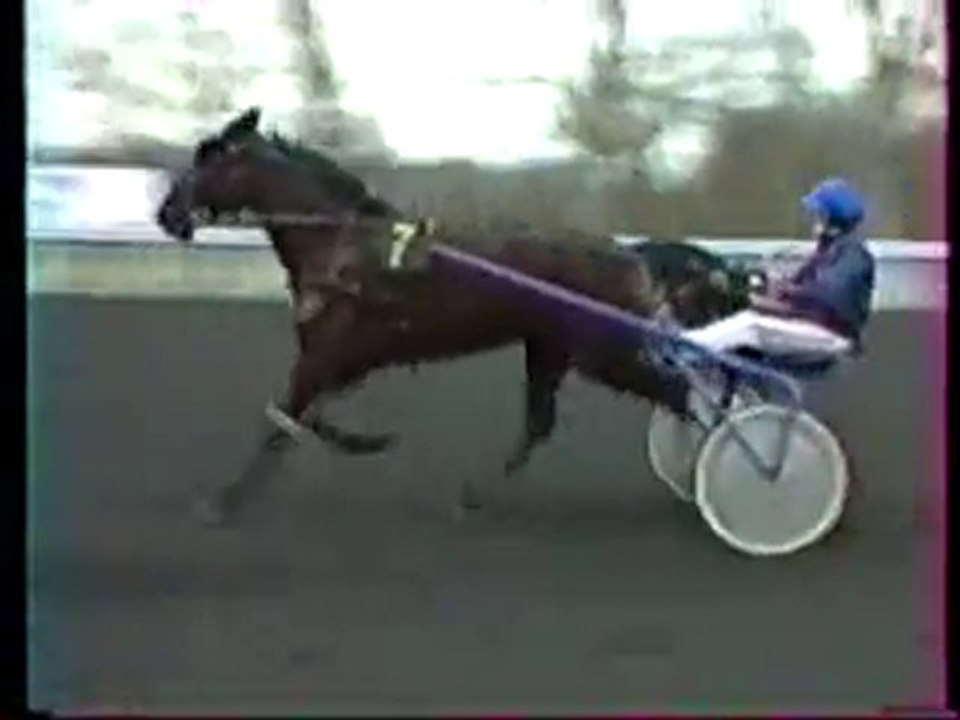 Prix d'Amerique 1998 (Dryade des Bois)