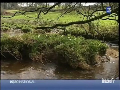 Pollution aux nitrates en Bretagne et Commission Européenne
