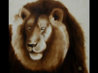 Un nouveau site pour Franck Maës