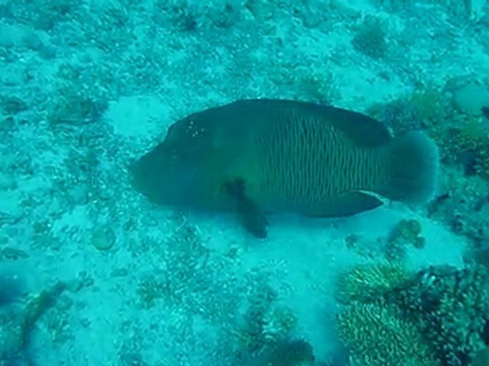 P1010076