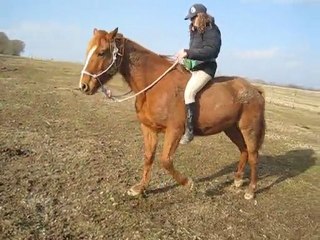 Quito-pas espagnol monté