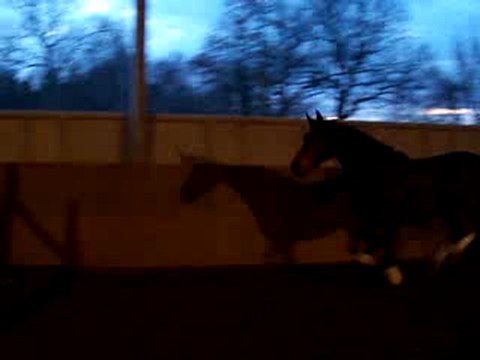 wes fev 2010 saut en liberté 2