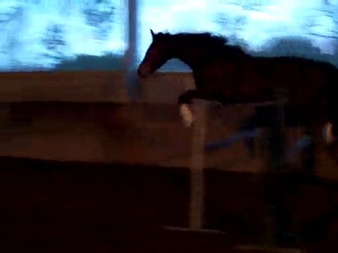 wes fev 2010 saut en liberté 1