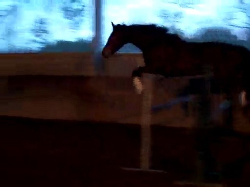 wes fev 2010 saut en liberté 1