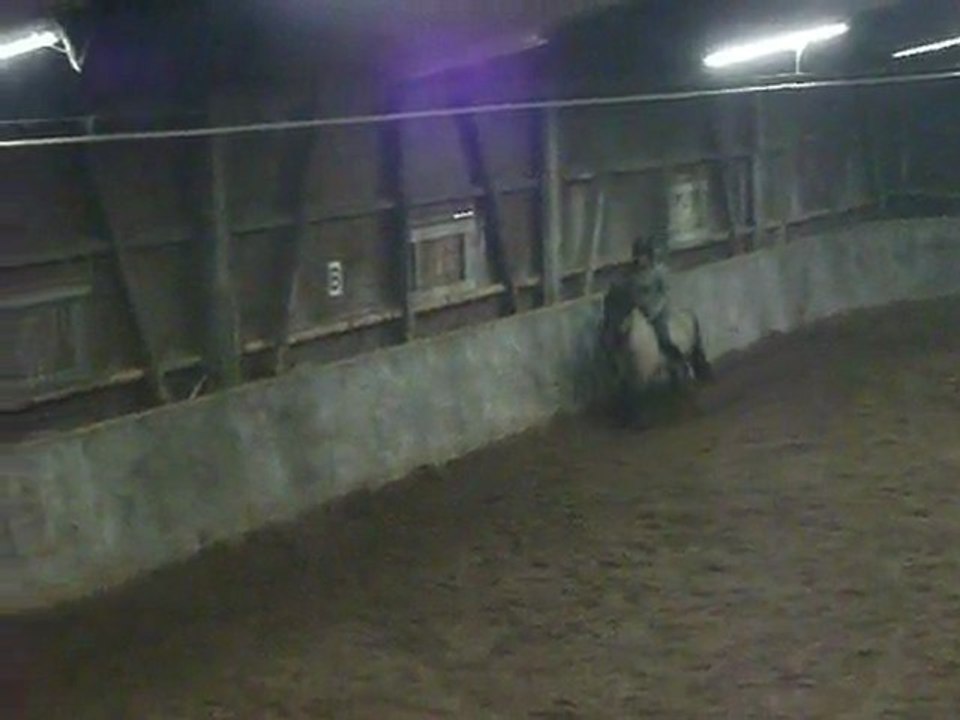 Puck - Travail en cordelette