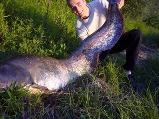 Silure Club Rhodanien : Diaporama du forum 6