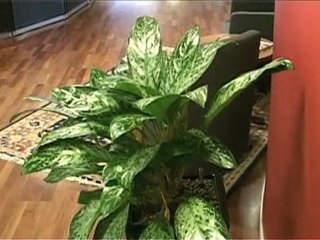 Factoring Göteborg Prioritet Finans