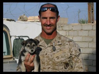 Los Perros Y Las Mascotas