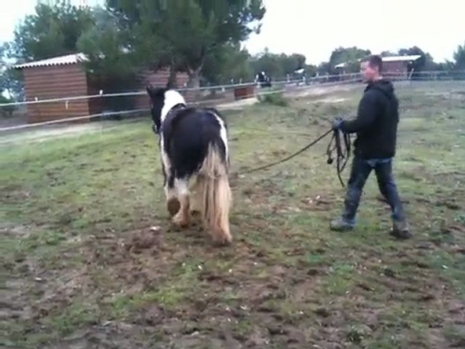 video Samy