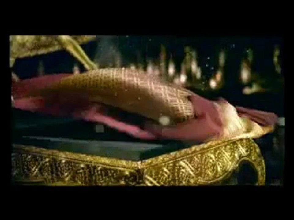 Thai translation Siamese Cat A Most Popular Breed