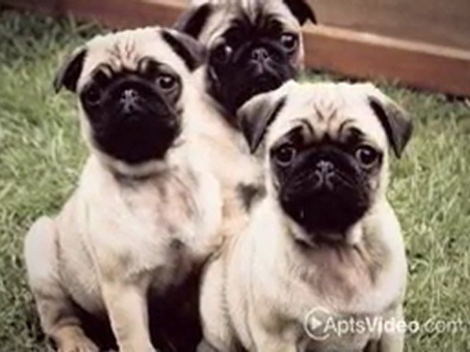 The Lofts at 677 Seventh in San Diego, CA-ForRent.com