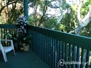 Crystal Springs Terrace in San Bruno, CA-ForRent.com