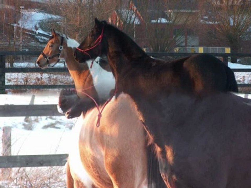 poeme hidalgo