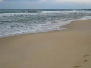 j'y vais!!! j'y vais pas