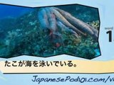 Learn Japanese - Learn with Japanese Marine Life Videos