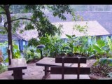 Travel To Care Casa Susegad Loutolim Goa India Ecotourism