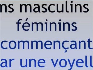 Articles partitifs FLE