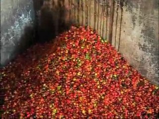 Innovation rurale au Nicaragua