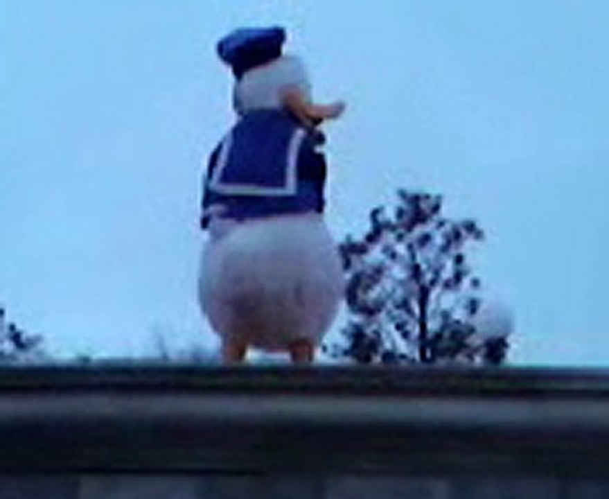 donald