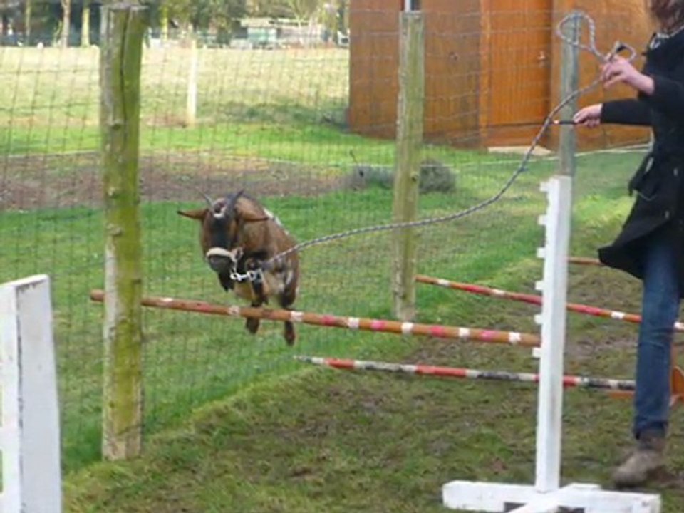 journée extra avec loélia ...<3