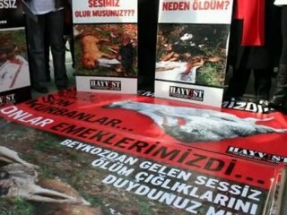 ARTIK BİR ŞEY YAPMALI..!