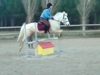 Galop 5 Obstacle