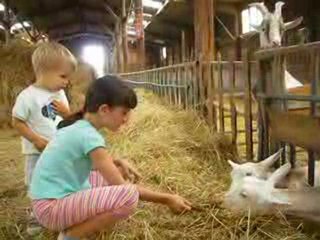 île de Ré août 2009