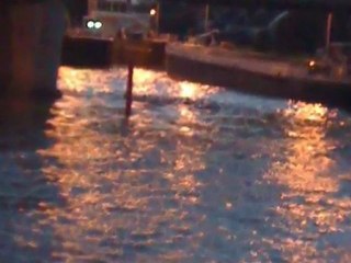 alain Moisset   MOI MOI et MOI