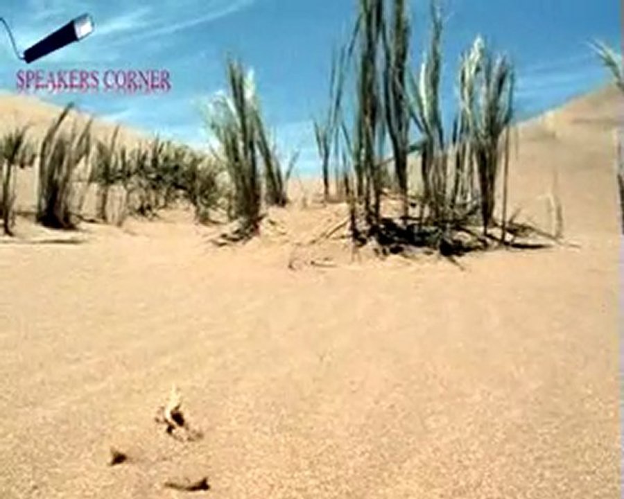 Marcus du Sautoy - Business and keynote speaker