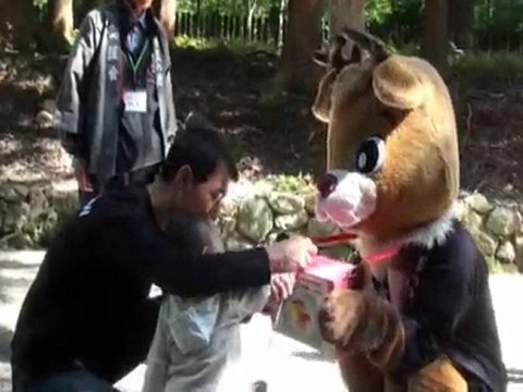 Voyage au Japon - jour 10 - Nara - Wakamiya-jinja