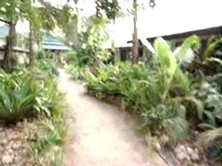 19 02 2010 - Enfin arrive a Koh Samui