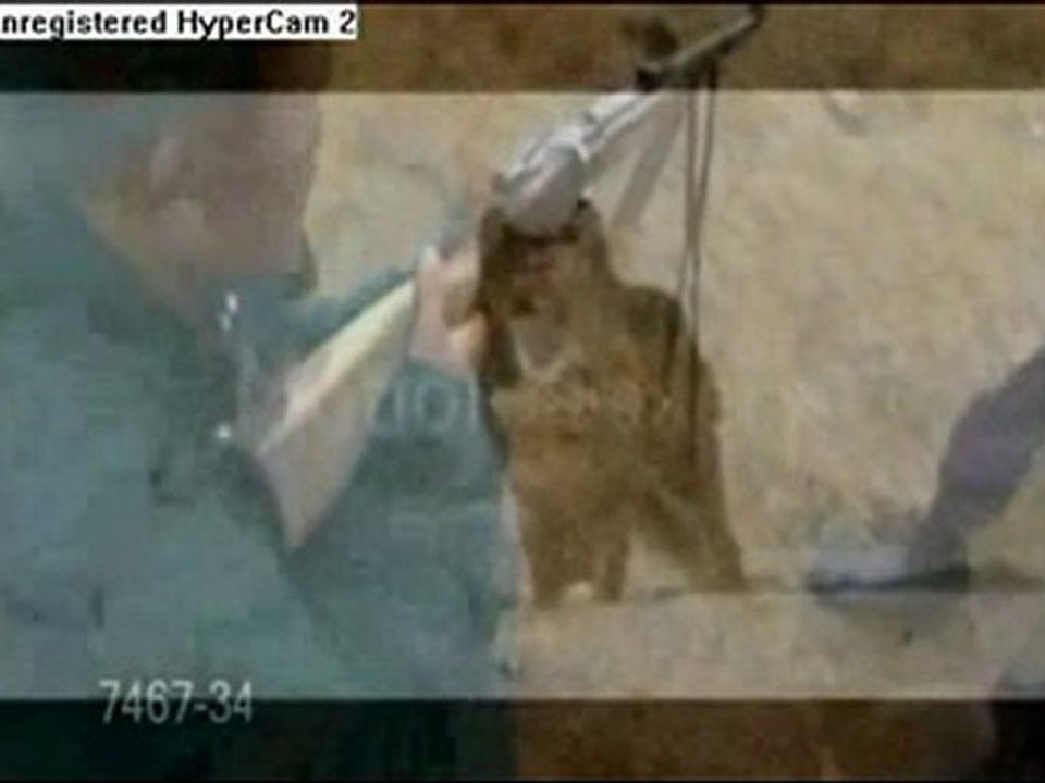 Please Save These Wolves